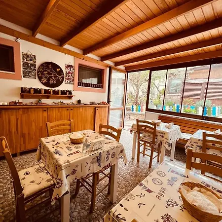 Hotel Vitis 3*
