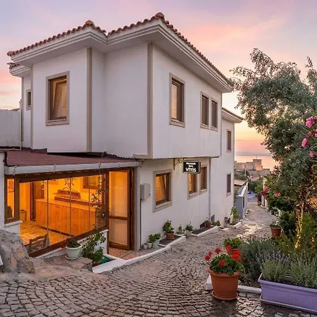 Hotel Vitis